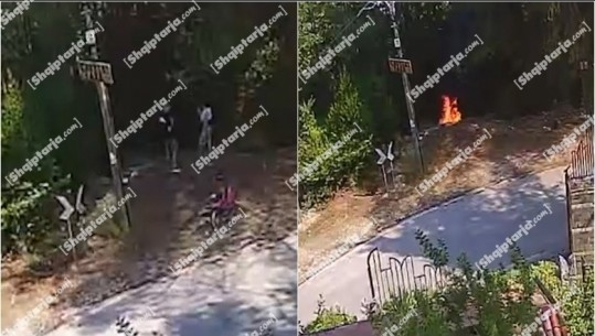 Report Tv sjell videon nga momenti kur dy të rinjtë i vënë zjarrin pishave në malin Partizan