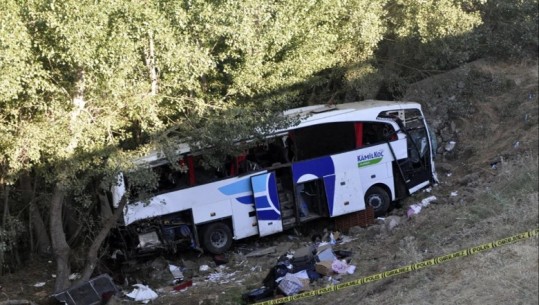 Turqi/ Shoferi i autobusit humb kontrollin dhe del nga rruga, 12 viktima dhe 19 të plagosur