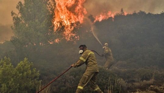 Greqia në ‘luftë’ me flakët, 18 emigrantë gjenden të djegur në pyllin e Dadias në Evros! Rama: Solidarzohemi me shtetin fqinj