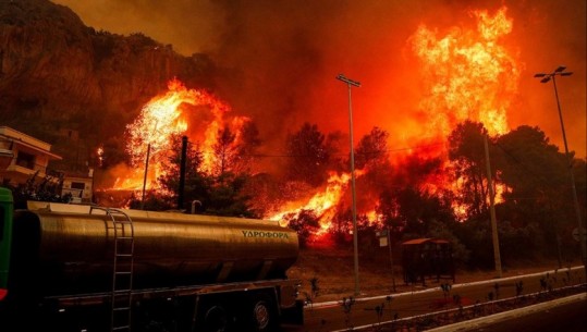 Zjarret në Greqi, mes trupave që u gjetën të djegur edhe dy fëmijë