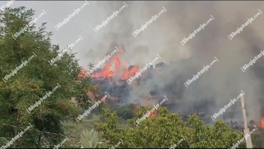 Fier/ Zjarr masiv në kodrat me ullinj në fshatin Jarua, 3 zjarrfikëse në vendngjarje! Zbulohet municion luftarak