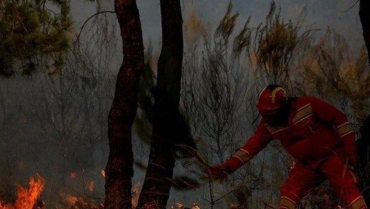 Verë pa zjarre në Tiranë, Veliaj: Mirënjohës çdo punonjësi zjarrfikës