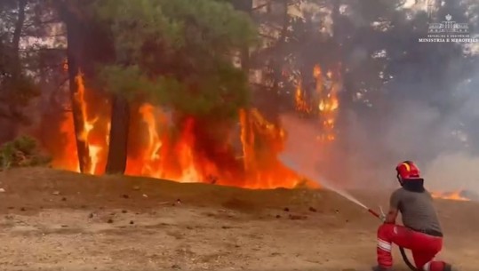 Zjarret në Greqi, gjendet 1 trup i djegur