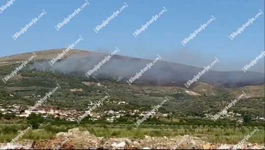 Berat, zjarri në malin e Shpiragut, zjarrfikësit punuan për fikjen, ndërhynë nga ajri! Shuhet pas disa orësh