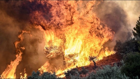 Zjarret në Greqi, KE: Flakët më të mëdha të regjistruara në historinë e BE-së