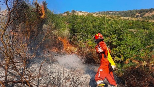 Situata me zjarret në vend, 15 vatra janë shuar gjatë 24 orëve të fundit! Në Fushë Krujë dhe Elbasan vijon ‘beteja’ me flakët