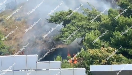 VIDEO/ Zjarr në kodrën e ‘Kuzum Baba’ në Vlorë, digjen bimësi e shkurre! Dyshohet i qëllimshëm