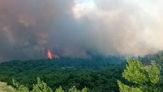 Zjarret në Greqi, evakuohet për herë të dytë një fshat në Evros