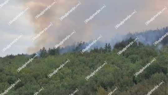 Zjarr në kodrat midis Radostinës dhe Shëndëllisë në Fier, digjen parcelat me ullinj! 4 zjarrfikëse po punojnë për të shuar flakët