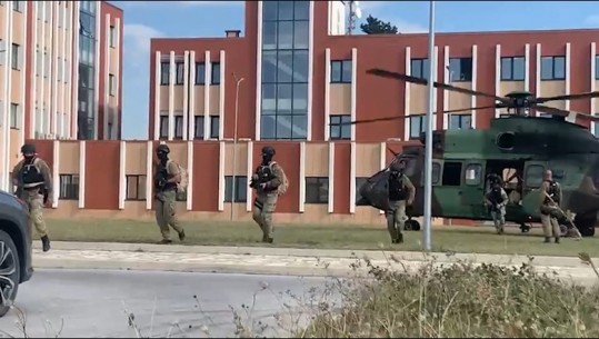 RENEA në aksion, VIDEO nga operacioni anti-kanabis në Shkodër! Ndërhyrje nga toka dhe ajri