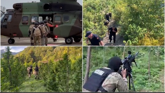 Operacion anti-drogë në Shkodër, asgjësohen mbi 12 mijë bimë kanabis! VIDEO nga aksioni i RENEA-s nga toka dhe ajri