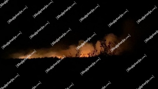 Zjarr në fshatin Akërni në Vlorë, digjen sipërfaqe të mëdha me ullinj