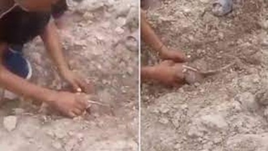 VIDEO rrëqethëse/ Momenti kur foshnja e porsalindur nxirret e gjallë nga rrënojat pas tërmetit në Marok 