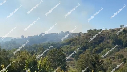 Zjarri ‘përpin’ katër hektarë ullishte në Krujë, kërkohet ndërhyrje nga ajri