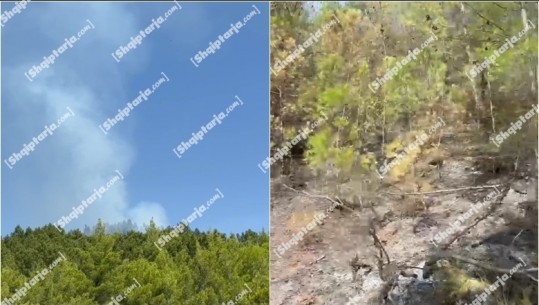 Vihen nën kontroll zjarri në Mirditë! Një ditë më parë u dogjën 6 hektarë pyje, shkak u bë një shkëndijë elektrike