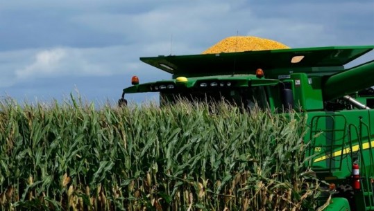 Thatësira dhe pasiguria rreth grurit ukrainas, shqetësim për fermerët amerikanë