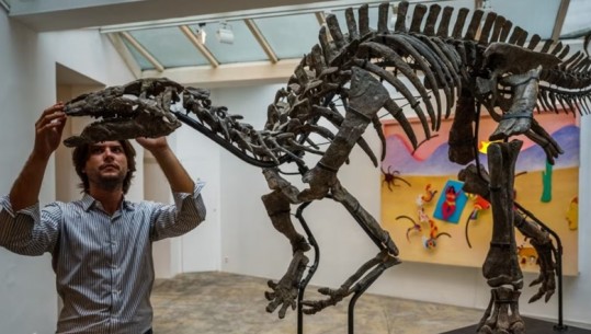Skeleti i dinozaurit Barry do të shitet në Paris