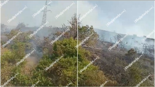 Zjarr në Kërkovë të Vlorës, flakwt favorizohen nga era! Rrezikohen dy banesa
