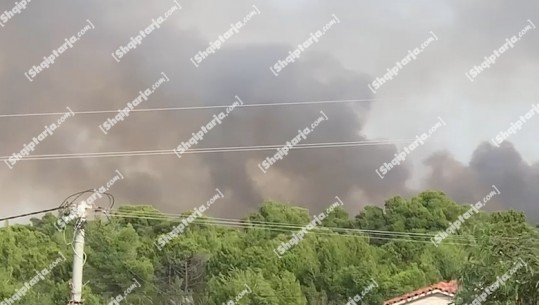 Fier/ Vatër e rrezikshme zjarri në Darëzezë, flakët përhapen në pyll! Kërkohet ndërhyrje nga ajri (Video)