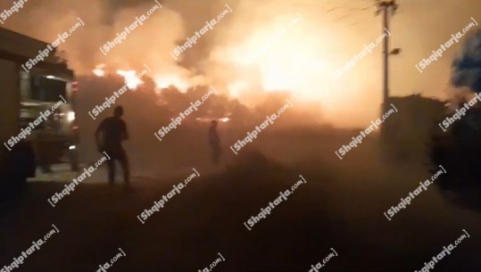 Zjarrfikësit 'sfidohen' nga 11 vatra zjarri në Fier, më e rrezikshmja në Darëzezë, flakët përhapen në pyll! Kërkohet ndërhyrje nga ajri (Video)