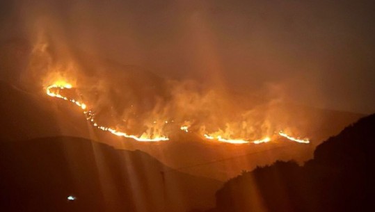 Shkaktarë të zjarreve në tre fshatra të Tepelenës, në pranga 48-vjeçari! Dy të tjerë nën hetim