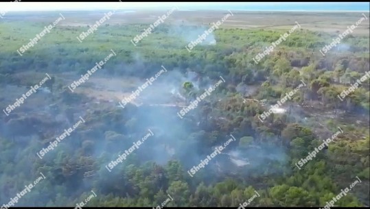 Report Tv sjell pamjet me dron të dëmeve të mëdha që shkaktoi zjarri në pyllin e Pishporos, në Fier 