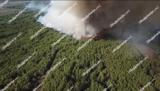 Zjarri vijon të djegë sipërfaqe të pyllit me pisha në zonën e mbrojtur të Pishporos në Fier! Report Tv sjell pamjet me dron
