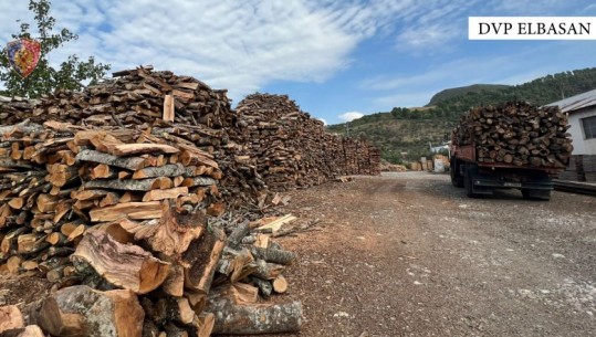 Siguronin dru në kundërshtim me ligjin dhe nuk deklaronin të ardhurat, goditen dy subjekte ekonomike në Elbasan! Nën hetim pronarët e tyre