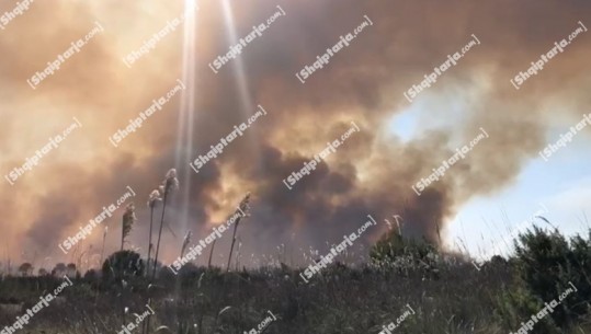 VIDEOLAJM/ Zjarri në Pishporo dhe Darëzezë të Fierit, re të mëdha tymi mbulojnë qiellin! Situata alarmante