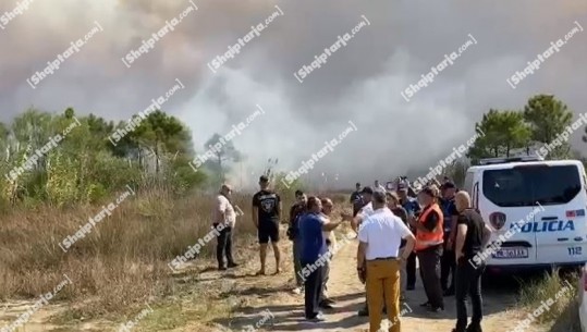 Zjarri në Pishporo dhe Darëzezë të Fierit, Greqia i vjen në ndihmë Shqipërisë për shuarjen e flakëve