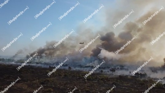 Fier/ Masivi pyjor Pishporo-Darëzezë 7 ditë 'nën pushtetin' e flakëve, 2 avionë 'Canadair' nga Greqia në aksion për të shuar zjarret