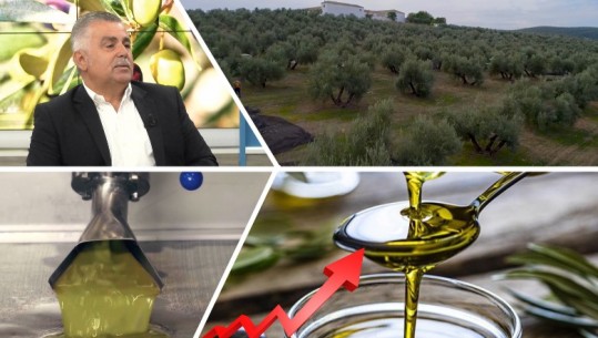 Kriza botërore /A do rritet çmimi i vajit të ullirit tek ne? Ja sa kushton sot 1 litër