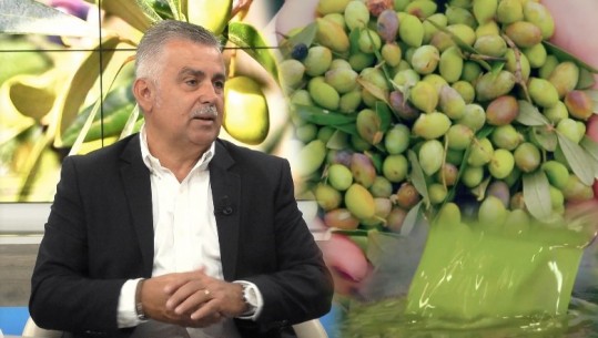 Kriza me vajin e ullirit dhe humbja e fermerëve shqiptarë / Eksperti Ilir Pilku: Institucionet të marrin masa 