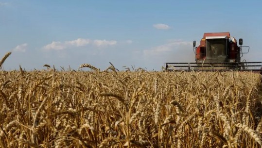Varshava dhe Kievi bien dakord për eksportin e drithërave