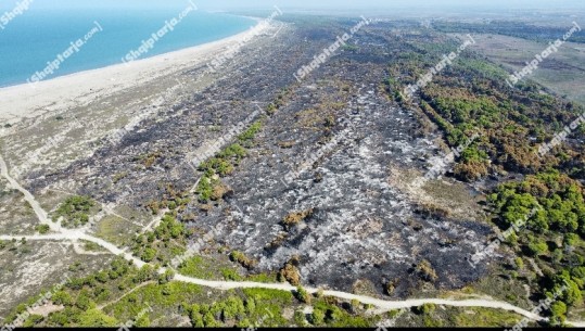 Report Tv sjell pamjet me dron! Shuhet pjesa më e madhe e zjarrit në masivin pyjor të Pishëporo, flakët shkaktojnë katastrofë mjedisore