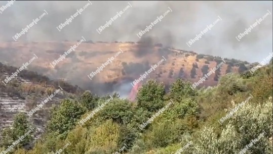Zjarr në kodrat e fshatit Kraps, digjen mbi 400 drurë ulliri