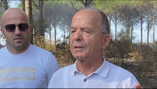 Ambientalisti: Katastrofë mjedisore në Pishporo e Darëzezë! Guri: Zjarre të qëllimshme në pyje, e tmerrshme