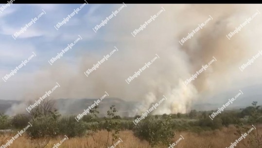 Selenicë/ Vijon prej mbrëmjes së djeshme zjarri në parcelat me ullinj në Dushkarak, banorët: Njoftuam zjarrfikësen, por s’ka ardhur