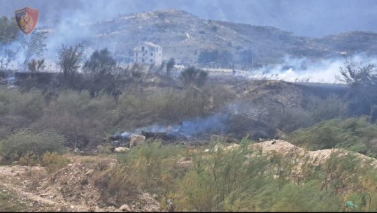 EMRI/Ndezi qëllimisht zjarr dhe dogji një sipërfaqe toke në fshatin Tragjas, arrestohet një 56-vjeçar