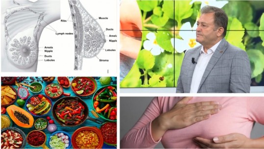 Ushqimet dhe bimët vrastare të qelizave kancerogjene / Gjithçka që duhet të dini për kancerin e gjirit