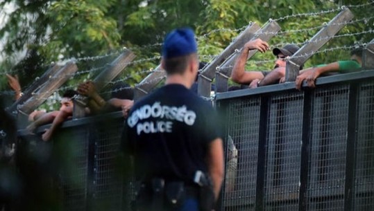 Të shtëna me armë zjarri në kufirin serbo-hungarez, vriten 3 emigrantë dhe 1 i plagosur