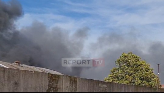VIDEO/ Merr flakë një fabrikë mobiliesh në Fier, 4 zjarrfikëse në vendngjarje! Punëtorët mundohen të ‘shpëtojnë’ materialet
