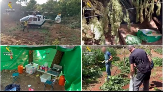 VIDEO/ Arrestohet shqiptari në Spanjë pasi kultivoi 1000 bimë kanabis, përdorte ujin nga rezervuari i zjarrfikësve për t’i ujitur