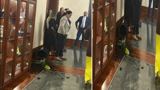Sherri në ambientet e Kuvendit, deputetët e Berishës thyejnë dhe vazot e luleve