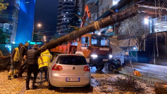 Stuhia 'Ciaran' godet Shqipërinë! Përmbytje rrugësh në Tiranë e Durrës, Rrëshiqtje dherash dhe pemë të rrëzuara! Evitoni lëvizjet e panevojshme 