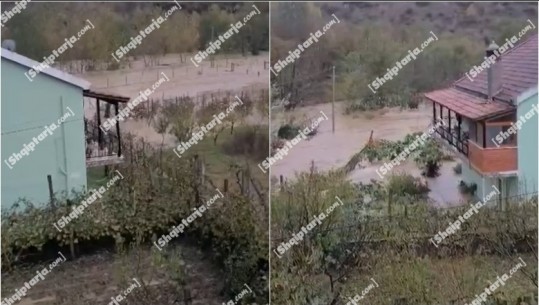 VIDEO/Mirditë, përroi i Zmejës del nga shtrati, përmbyten toka bujqësore dhe disa banesa në fshatin Tarazh