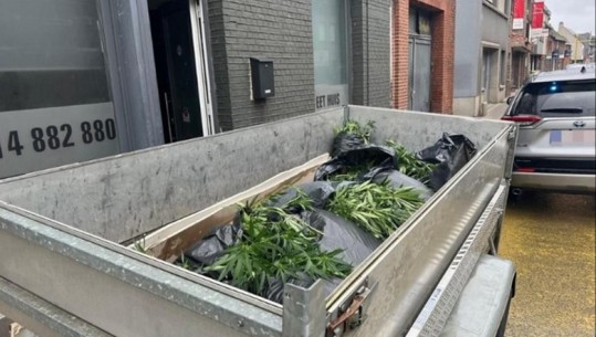 Belgjikë, kultivuan qindra bimë kanabis në një qebabtore, arrestohen dy shqiptarë