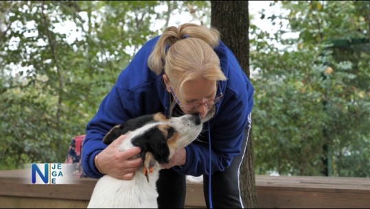 Gjesti human! Ushqen qentë e rrugës prej 19 vitesh, flet Afërdita: Më dhurojnë dashuri pa kushte! Nuk bëj pushime, se ngelen pa ngrënë