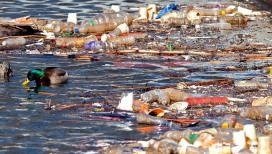 Gjykata e New York padit PepsiCo për ndotje plastike