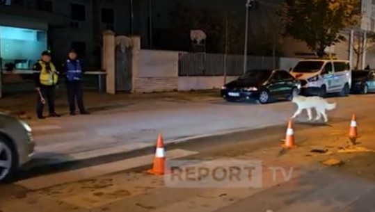 Te vijat e bardha para drejtorisë së policisë, pamje nga vendi ku u përplas polici në Durrës